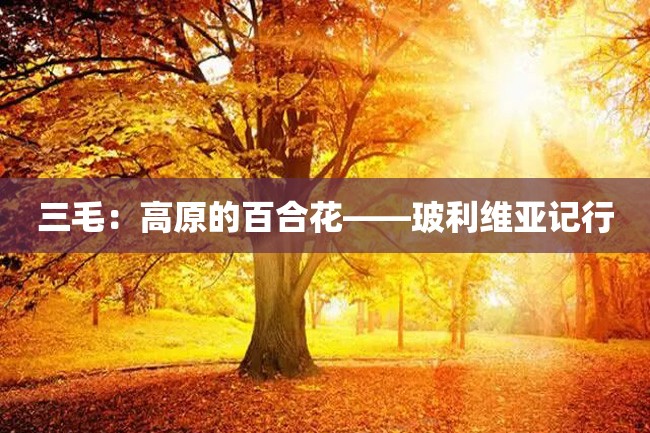 三毛:高原的百合花——玻利维亚记行