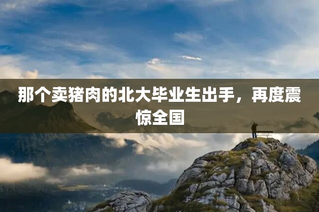 那个卖猪肉的北大毕业生出手,再度震惊全国