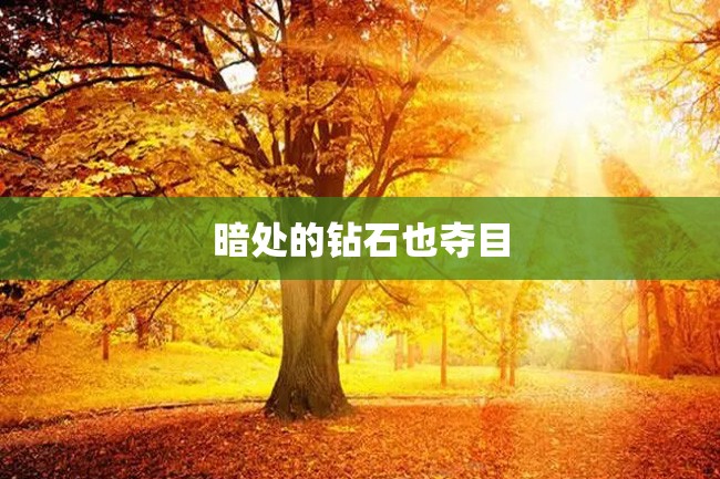 暗处的钻石也夺目