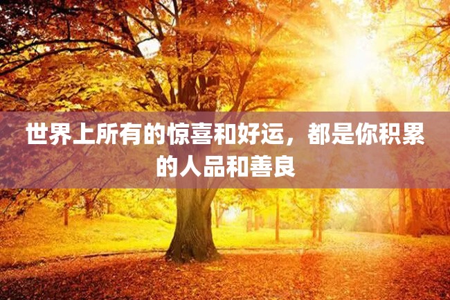 世界上所有的惊喜和好运,都是你积累的人品和善良