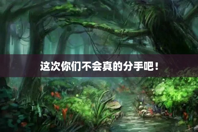 这次你们不会真的分手吧!
