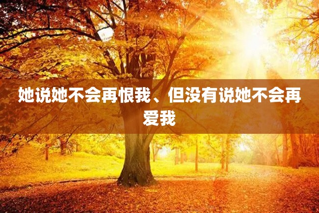 她说她不会再恨我、但没有说她不会再爱我