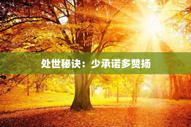处世秘诀:少承诺多赞扬