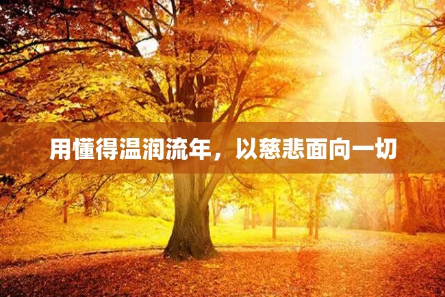 用懂得温润流年,以慈悲面向一切