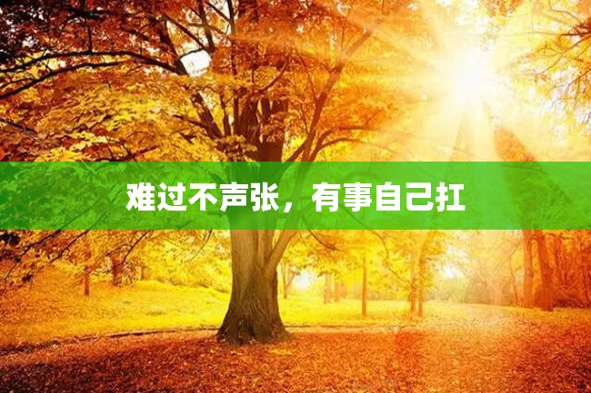 难过不声张,有事自己扛
