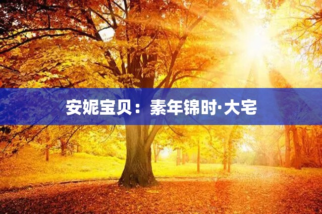 安妮宝贝:素年锦时·大宅