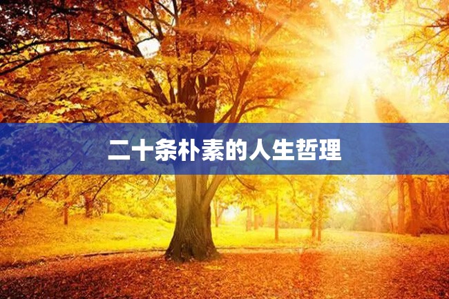二十条朴素的人生哲理
