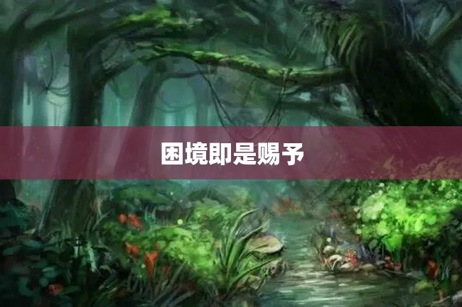 困境即是赐予