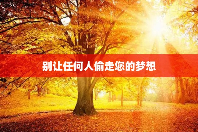 别让任何人偷走您的梦想