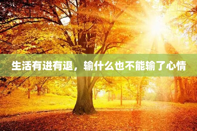 生活有进有退,输什么也不能输了心情