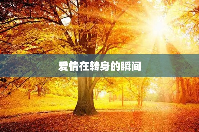 爱情在转身的瞬间