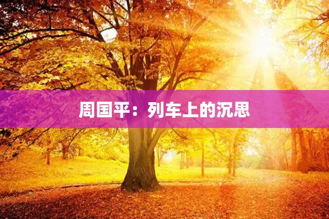 周国平:列车上的沉思