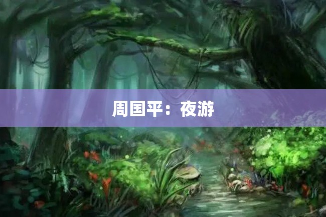周国平:夜游