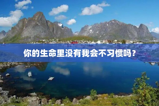 你的生命里没有我会不习惯吗?