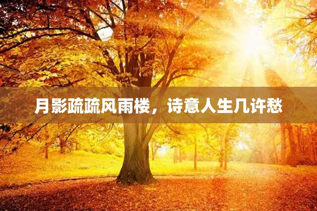 月影疏疏风雨楼,诗意人生几许愁