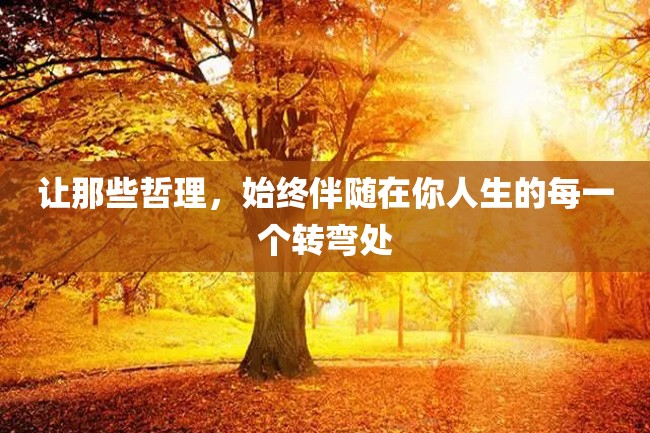 让那些哲理,始终伴随在你人生的每一个转弯处