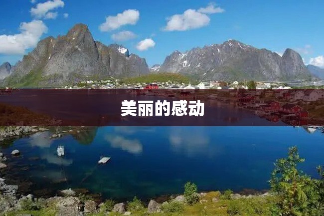 美丽的感动