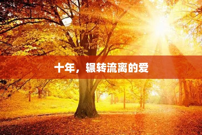 十年,辗转流离的爱