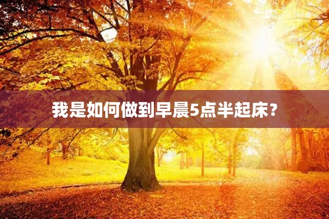 我是如何做到早晨5点半起床?
