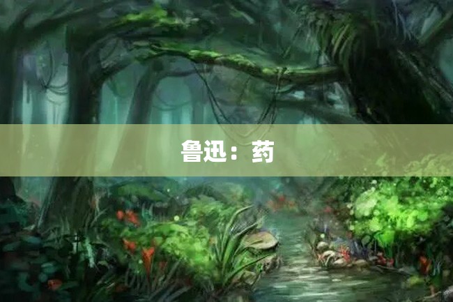 鲁迅:药
