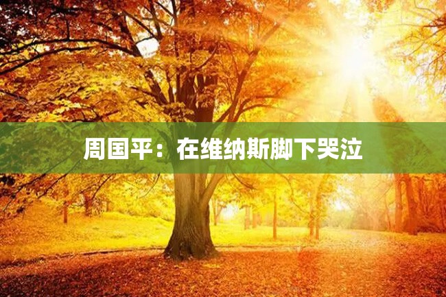 周国平:在维纳斯脚下哭泣
