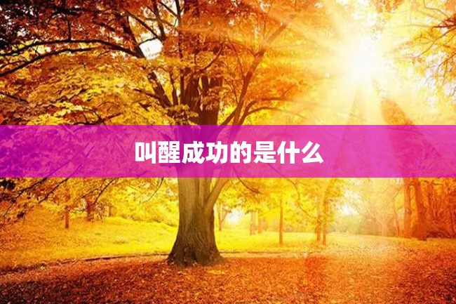 叫醒成功的是什么
