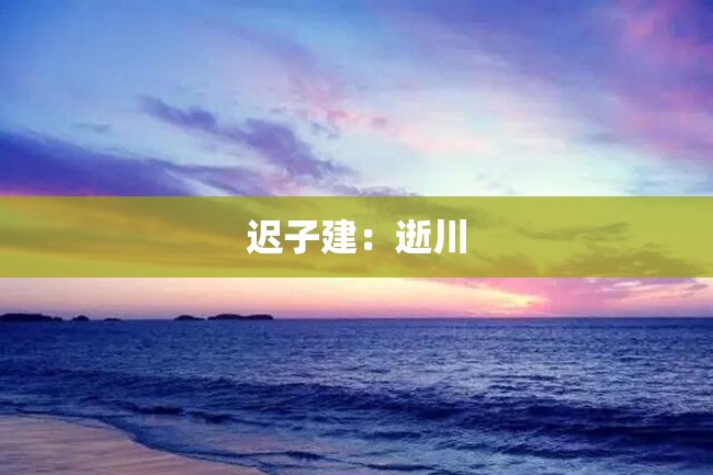 迟子建:逝川