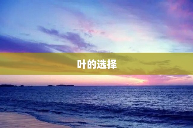 叶的选择