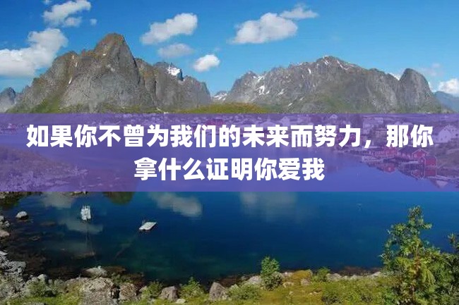 如果你不曾为我们的未来而努力,那你拿什么证明你爱我