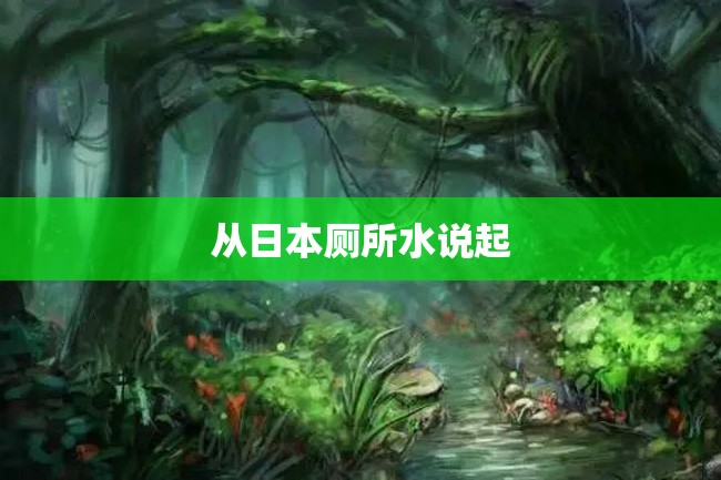从日本厕所水说起