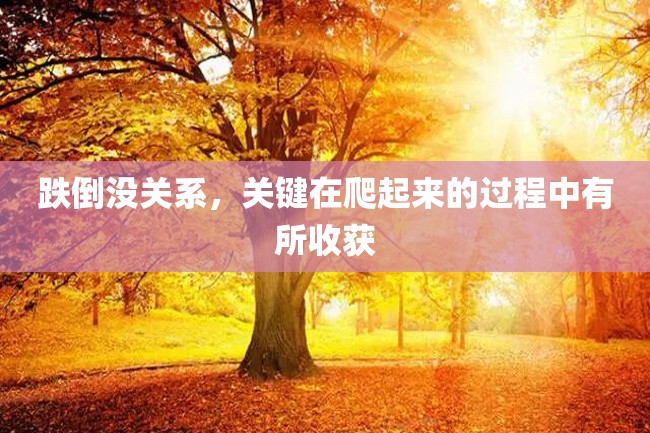 跌倒没关系,关键在爬起来的过程中有所收获