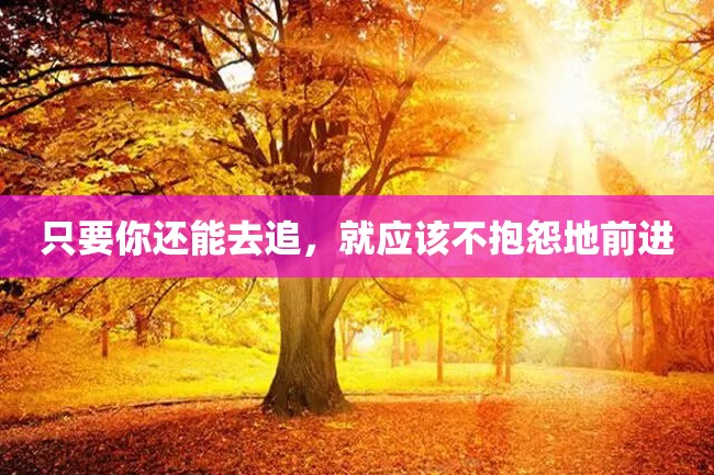 只要你还能去追，就应该不抱怨地前进