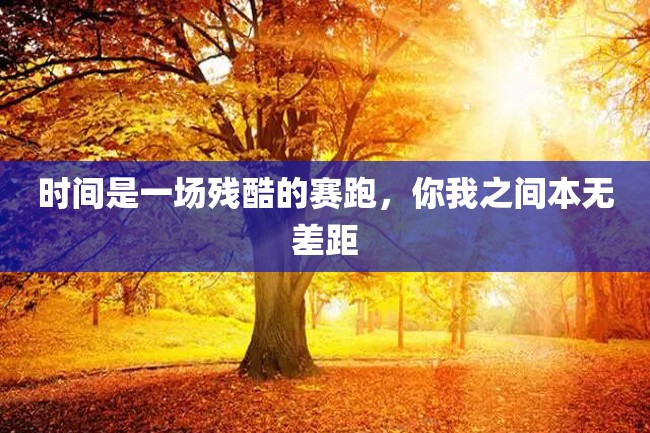 时间是一场残酷的赛跑,你我之间本无差距