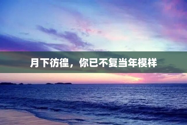 月下彷徨,你已不复当年模样