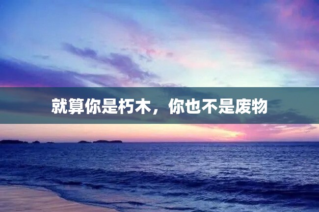 就算你是朽木,你也不是废物