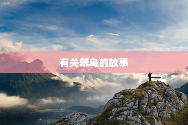 有关笨鸟的故事