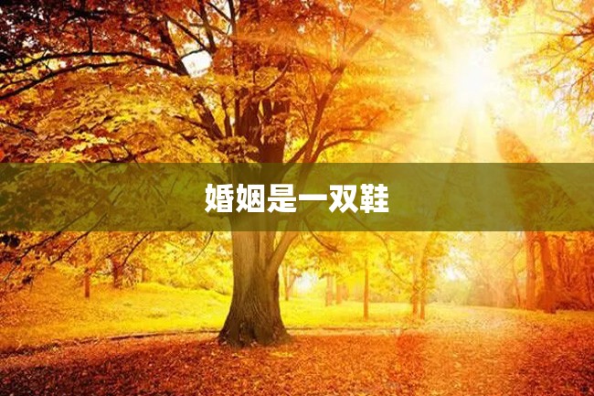 婚姻是一双鞋