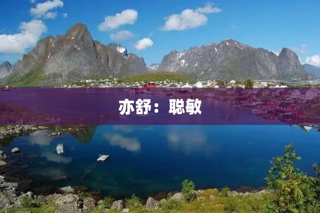 亦舒:聪敏