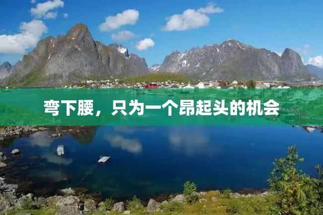 弯下腰,只为一个昂起头的机会