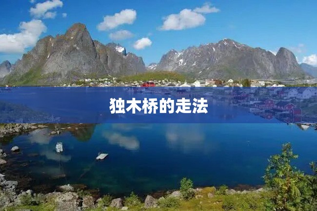 独木桥的走法