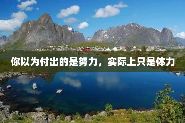 你以为付出的是努力,实际上只是体力