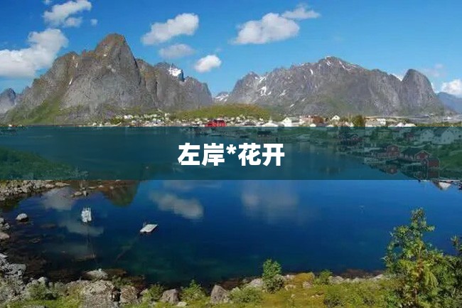 左岸*花开