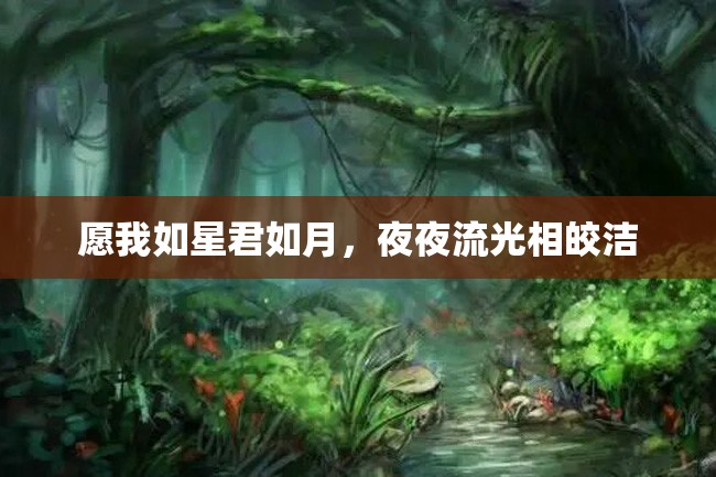 愿我如星君如月,夜夜流光相皎洁