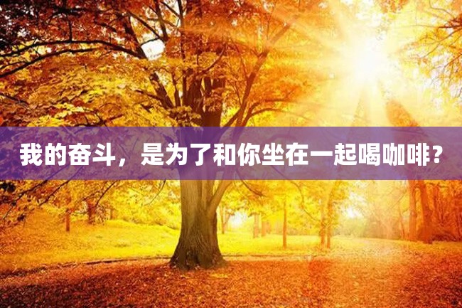 我的奋斗,是为了和你坐在一起喝咖啡?