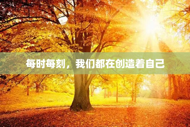 每时每刻,我们都在创造着自己