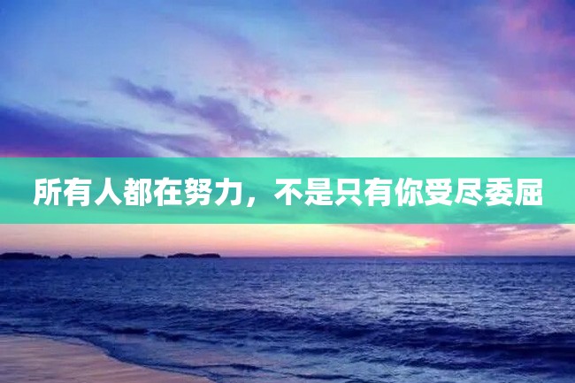 所有人都在努力,不是只有你受尽委屈