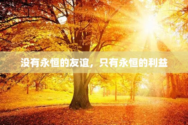 没有永恒的友谊,只有永恒的利益