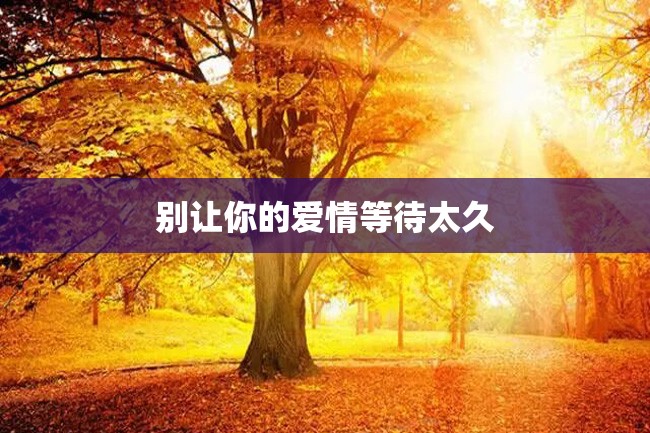 别让你的爱情等待太久