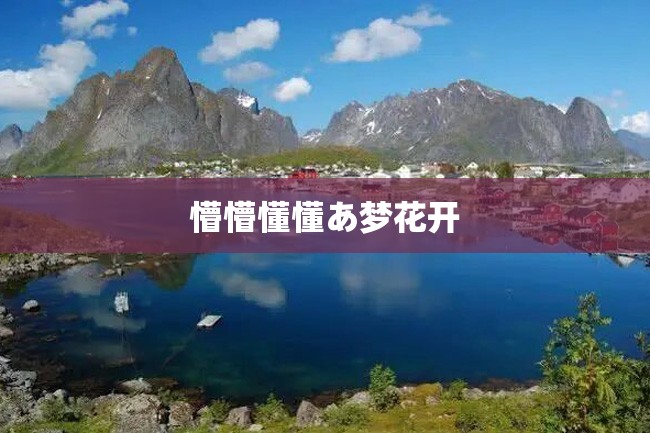 懵懵懂懂あ梦花开