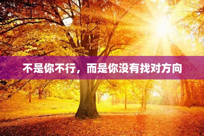 不是你不行,而是你没有找对方向
